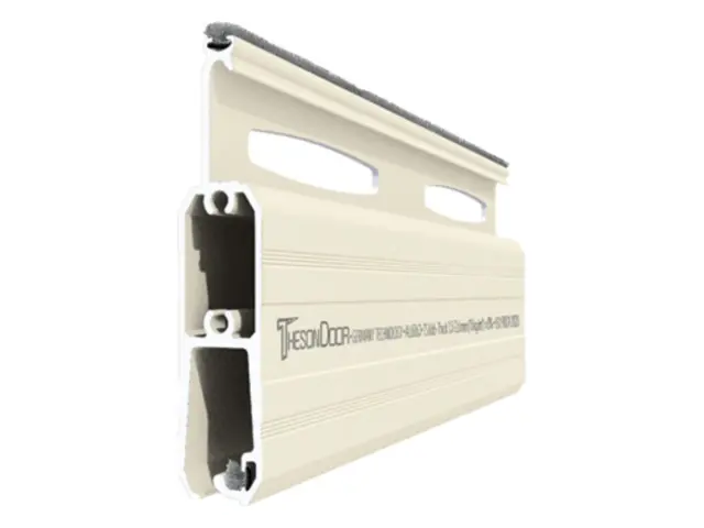 Cửa cuốn siêu thoáng THESONDOOR TS666
